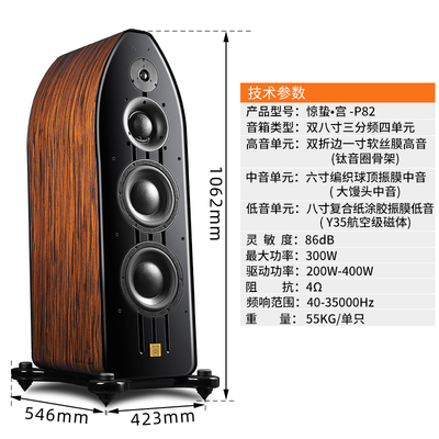 HAVE 2020上海高級視聽展詳情回顧-派揚(yáng)音響